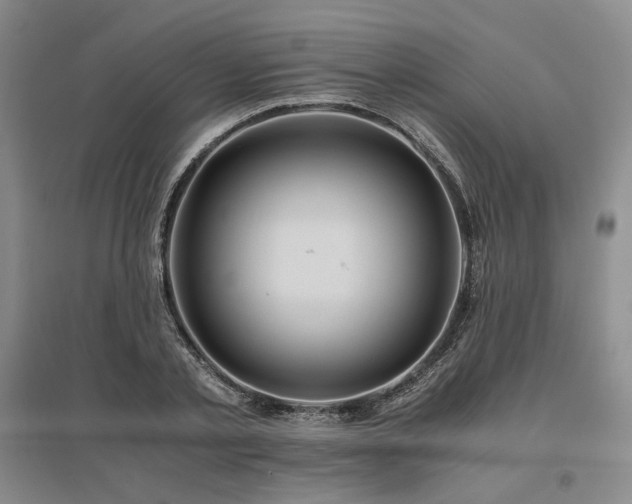 X0000095910789200801111231