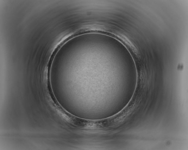 X0000095910790200801111231
