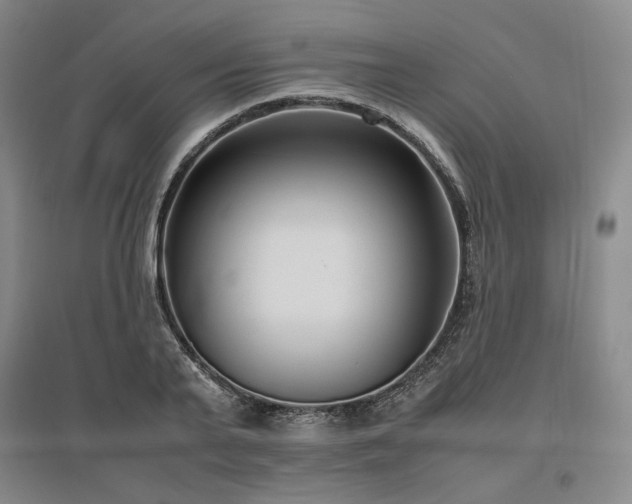 X0000095910791200801111231