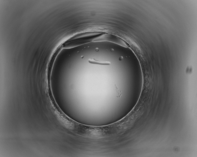 X0000095910792200801111231