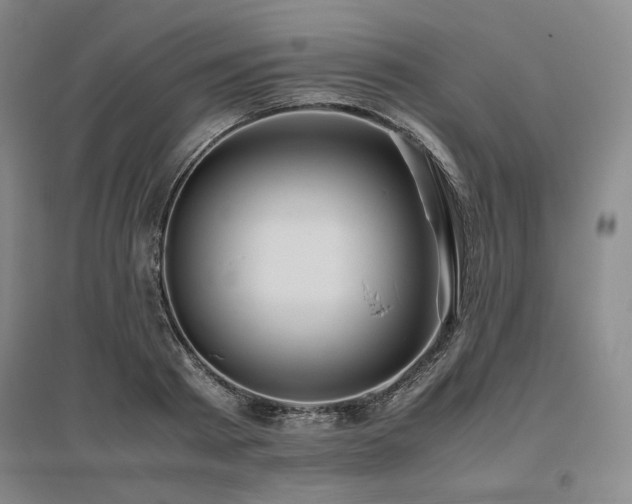 X0000095910793200801111231