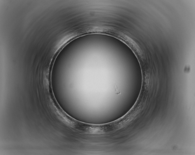 X0000095910794200801111231