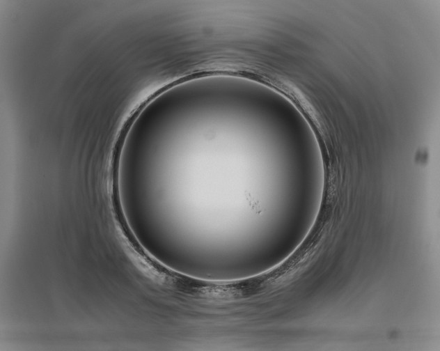 X0000095910795200801111231