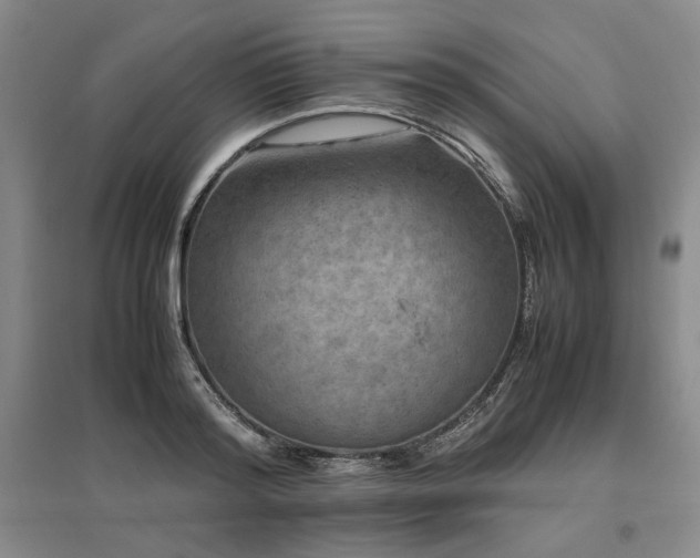 X0000095910796200801111231