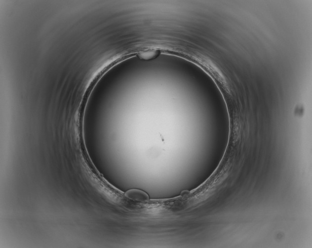 X0000095910798200801111231
