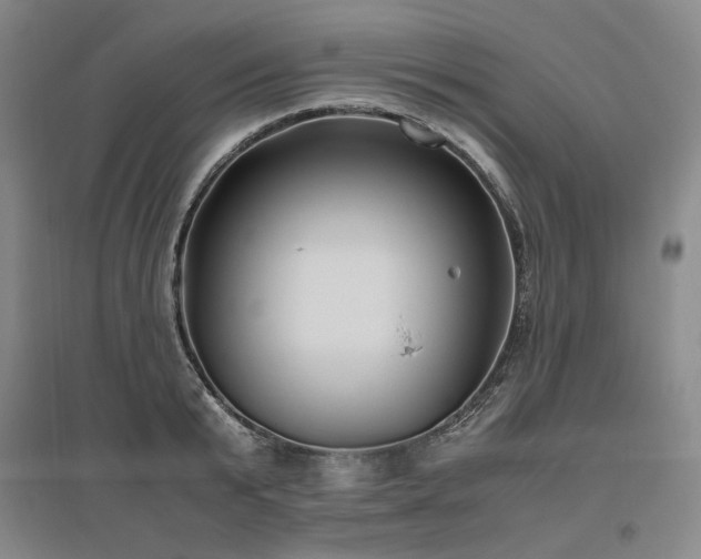 X0000095910799200801111231