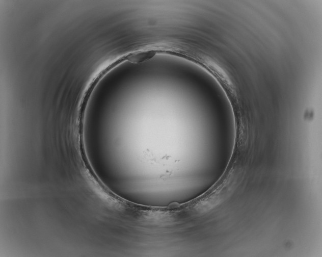 X0000095910800200801111231