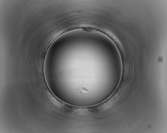 X0000095910801200801111231
