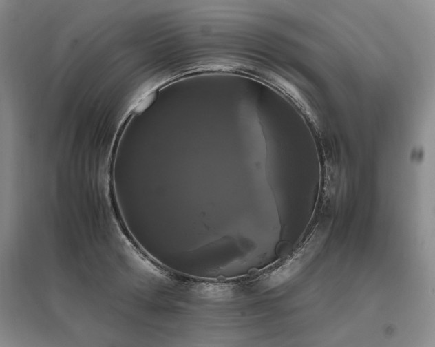 X0000095910802200801111231