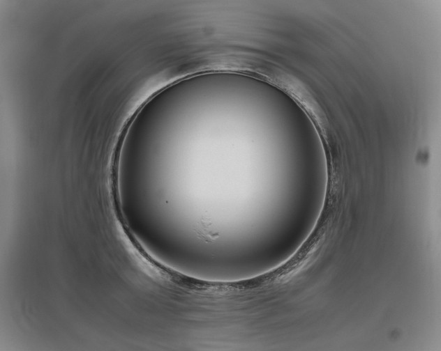 X0000095910803200801111231