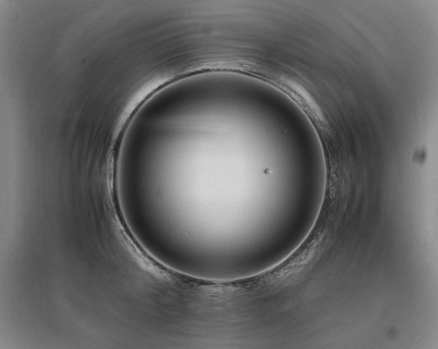 X0000095910804200801111231