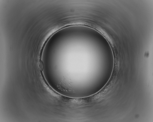 X0000095910805200801111231
