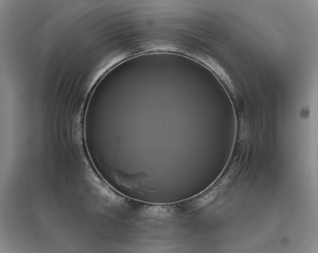 X0000095910806200801111231