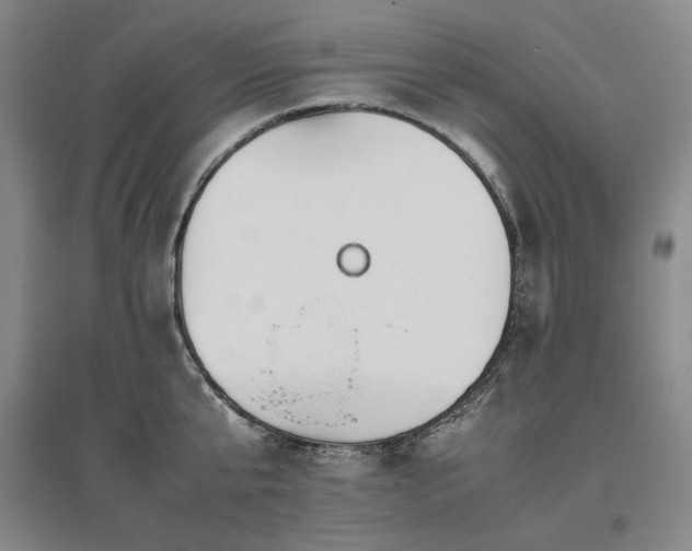 X0000095910807200801111231