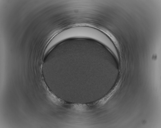 X0000095910809200801111231