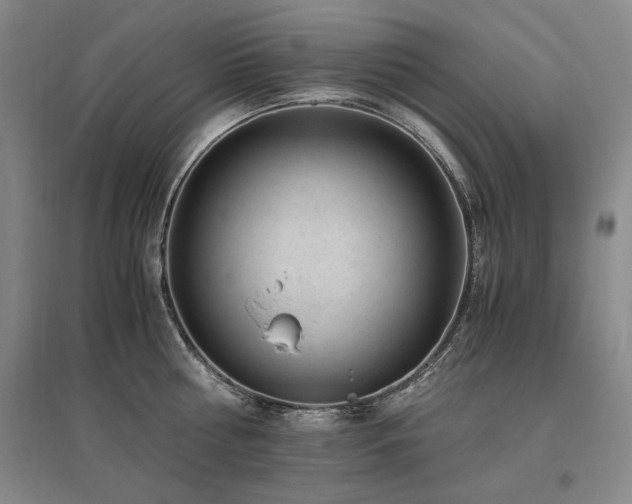 X0000095910810200801111231