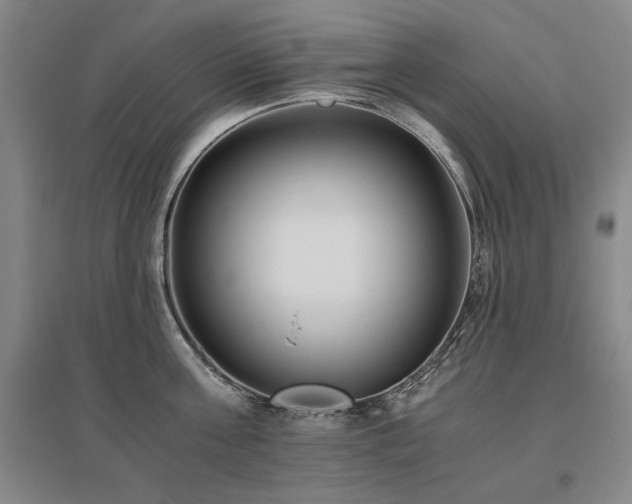 X0000095910811200801111231