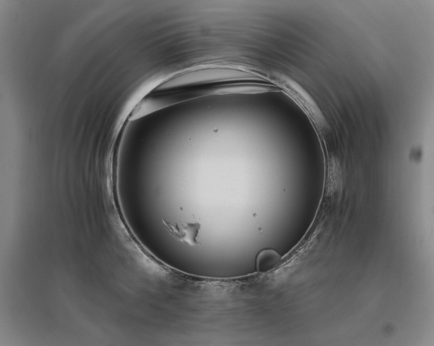 X0000095910812200801111231