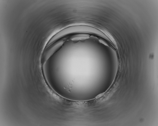 X0000095910813200801111231