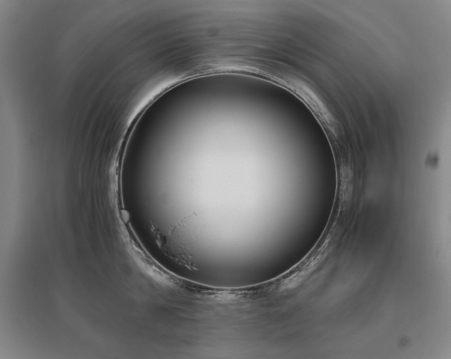X0000095910814200801111231