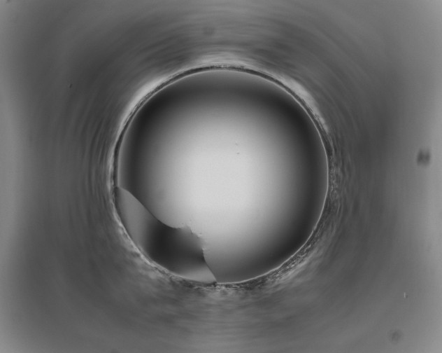 X0000095910815200801111231