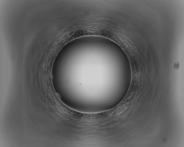 X0000095910817200801111230