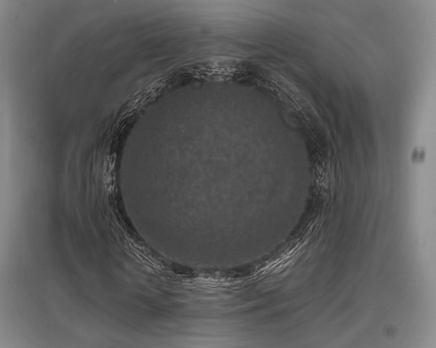 X0000095910818200801111230