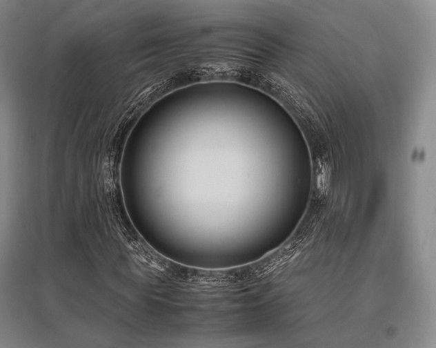 X0000095910819200801111230