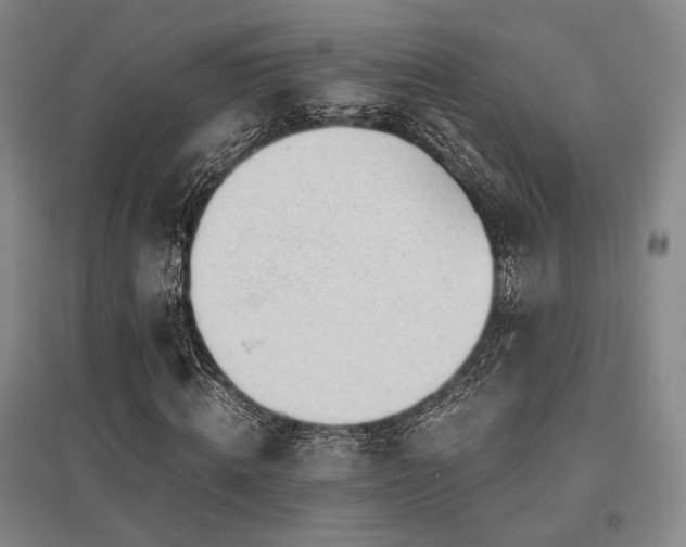 X0000095910820200801111230