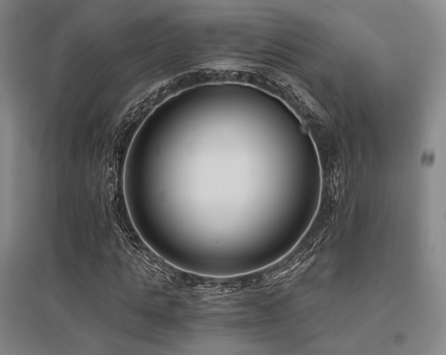 X0000095910821200801111230
