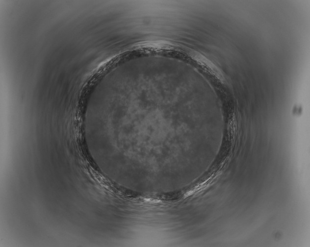 X0000095910822200801111230