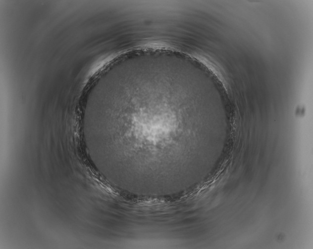 X0000095910823200801111230