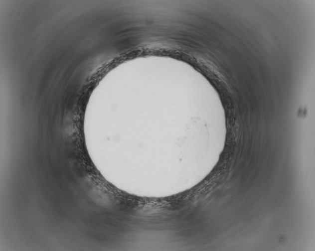 X0000095910824200801111230