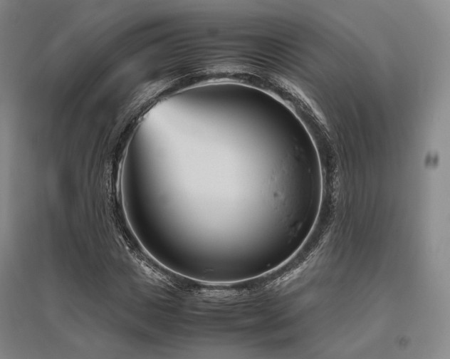 X0000095910825200801111230