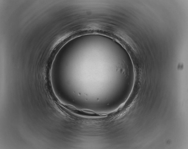 X0000095910826200801111230