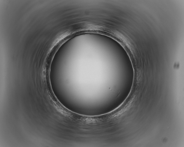 X0000095910827200801111230