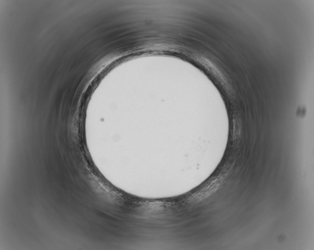 X0000095910828200801111230