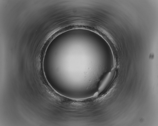 X0000095910829200801111230