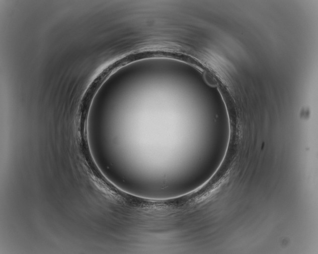 X0000095910830200801111230