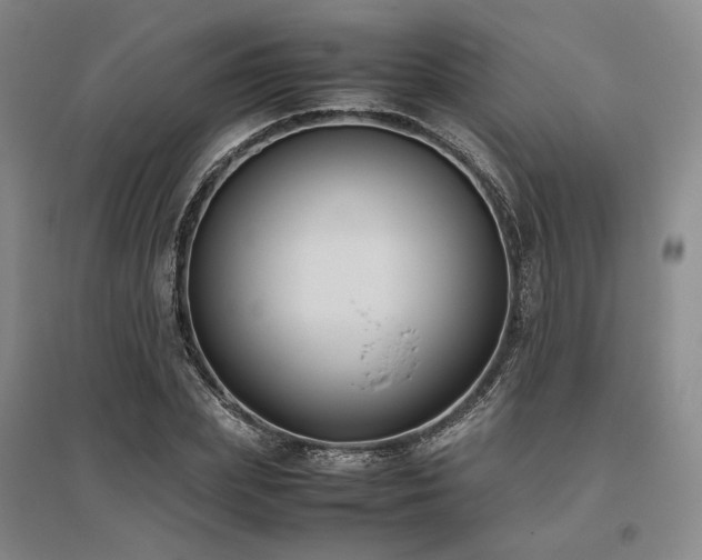 X0000095910831200801111230