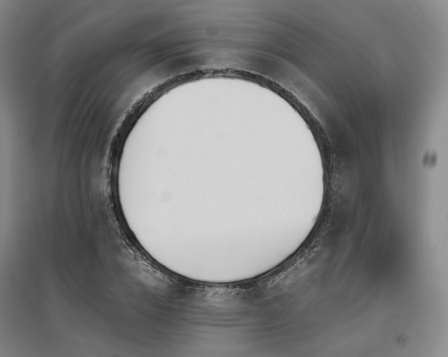 X0000095910832200801111230