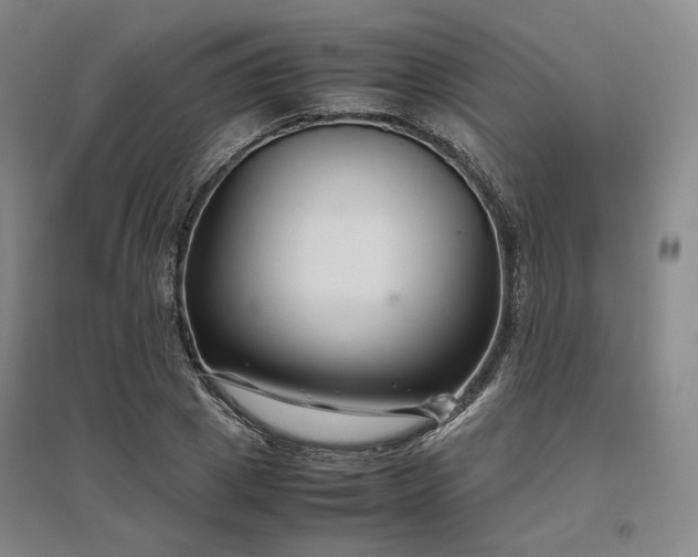 X0000095910833200801111230
