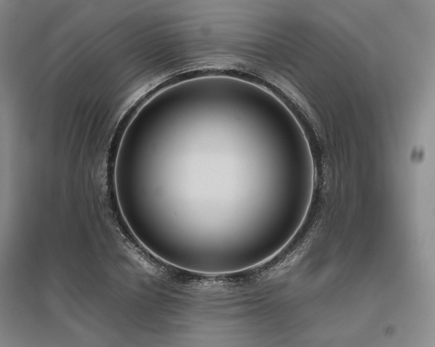 X0000095910834200801111230