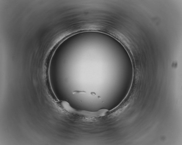 X0000095910835200801111230