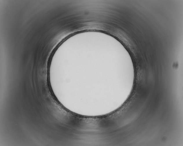 X0000095910836200801111230