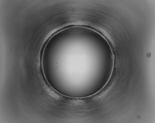 X0000095910837200801111230
