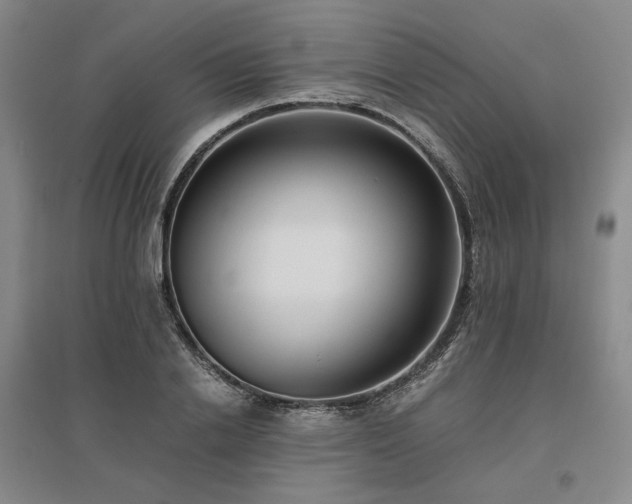 X0000095910838200801111230