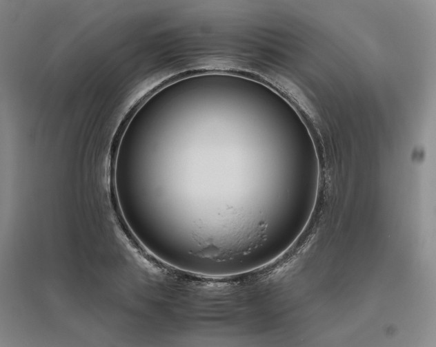 X0000095910839200801111230