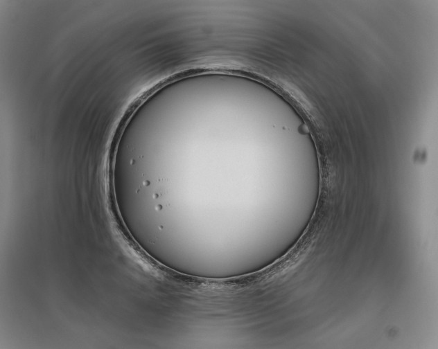 X0000095910840200801111230