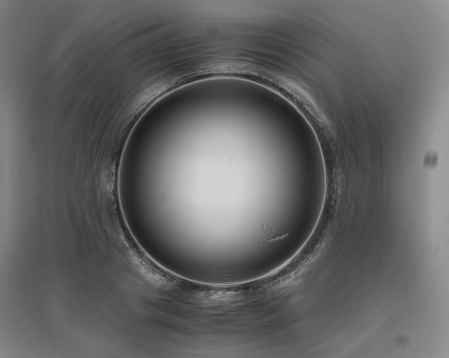 X0000095910841200801111230
